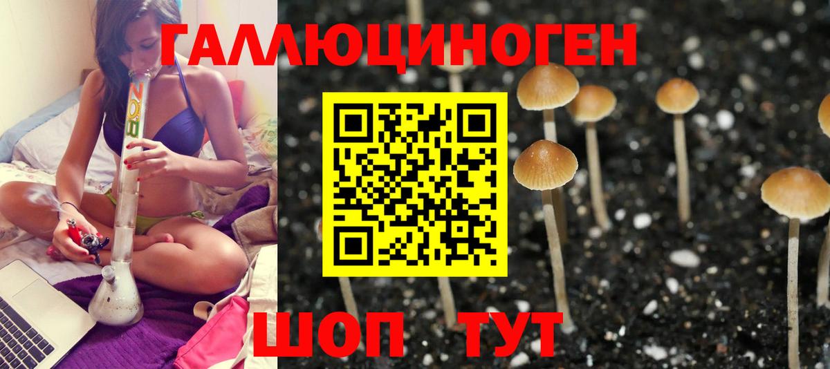 Галлюциногенные грибы мухоморы  купить наркотики сайты  Кыштым  Вход с VPN 